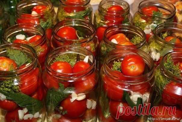 10 самых вкусных рецептов консервирования помидорок!.