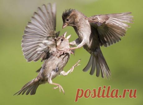 Письмо «А как вам такая &quot;грязная&quot; стилистика? и другие материалы. Новое в Вашей подборке на Постиле» — Постила — Яндекс.Почта