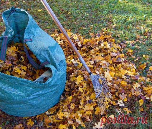 Быстрый компост в мешках: осенью закладываем, а весной вносим на грядки