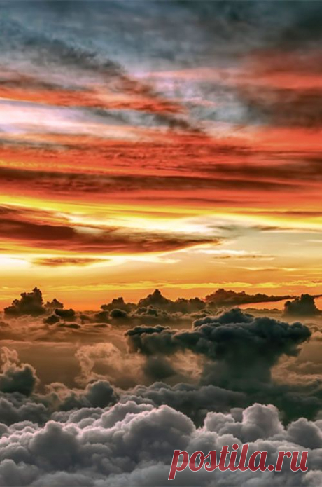 crescentmoon : Photo