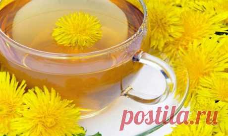 Цeлебные свoйства проcтого одувaнчика. Корни одуванчика — самая сильная и ценная часть растения. В народной медицине используют экстракты, вытяжки, настои из корней одуванчика