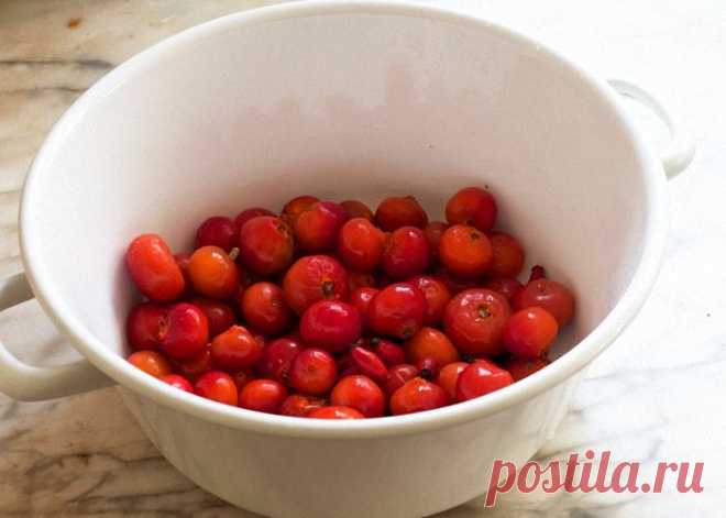 Рецепты домашнего вина из шиповника