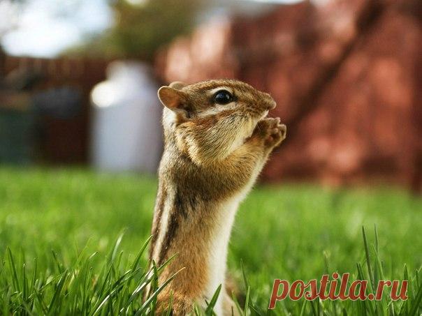 Мудрые и короткие притчи | Притчи