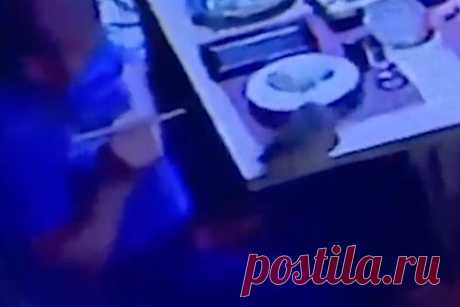 Крыса упала на посетителей ресторана в российском городе и попала на видео. Крыса упала на посетителей ресторана «Токио» в городе Находка. На кадрах видно, как крыса падает с потолка и приземляется на голову обедающему мужчине, после чего запрыгивает на стол и вновь бросается на посетителя, после чего скрывается из кадра. Остальные люди, сидящие за столом, разбегаются.