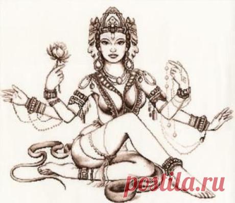 View image: 1