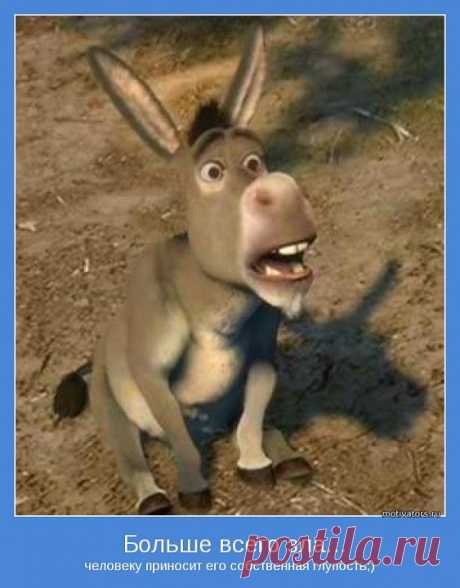 Правильная притча...