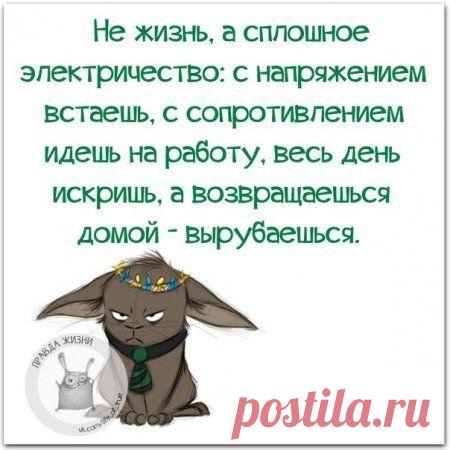 Веселые шутки и истории для поднятия настроения