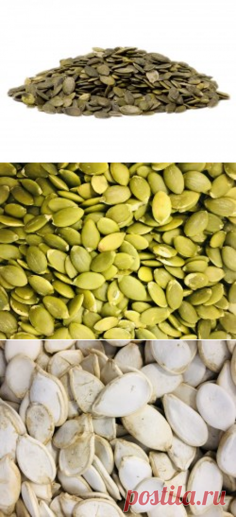 Тыквенные семечки купить в Москве | Шеф Орех - интернет-магазин орехов и сухофруктов.