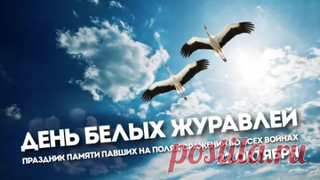 Пусть небо наше будет чистым,
Пусть не тревожит гул войны.
Желаю жить в любви и счастье,
Ведь мы для мира рождены. Открытки на День белых журавлей!