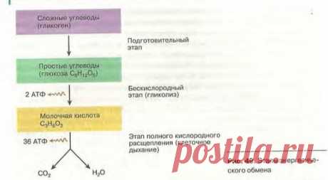 WU63PqWChCA.jpg (572×314)