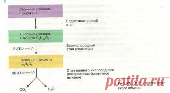 WU63PqWChCA.jpg (572×314)