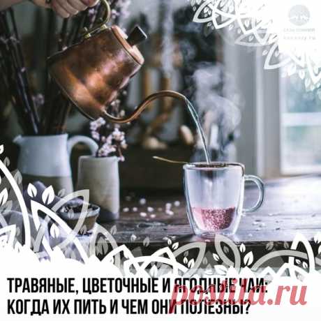 Травяные, цветочные и ягодные чаи: когда их пить и чем они полезны?

Чабрец
Рекомендован при гриппе, при спазмах желудка, заболеваниях почек, как мочегонное, при анемии, бессоннице, мигренях, ревматических болях. Также пьют как «мужской» чай.

Ромашка
Сердечный чай. Выраженное антитромбическое воздействием и антимикробное действие (при гриппе, простудах, воспалениях).

Шиповник
Кладезь антиоксидантов, флавоноидов, витаминов (С, К) и минералов, укрепляющий иммунную систему....