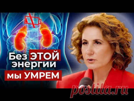 ЗДОРОВЫЕ ПОЧКИ ЭТО ПРОСТО! Тайны ЦИ почек