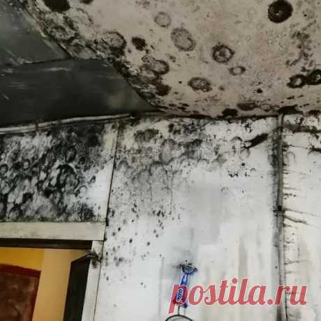 🧼 Клининговые услуги по уборке квартир, офисов, технических помещений
🔟 Большой опыт работ 🙇 Ответственность за порчу 💝 Приятные цены
🌍 Работаем по всей Москве и Московской области 📞 +7(969)022-34-60