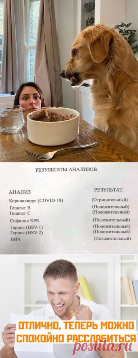 Подборка прикольных картинок и фотографий-246