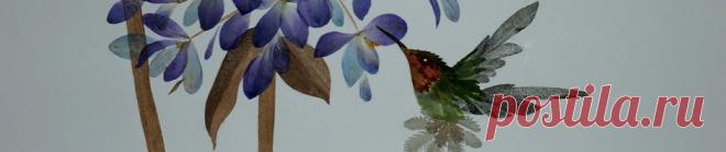 Кадзуо Акасаки / Kazuo Akasaki (Yo' Saiga) 赤崎一雄