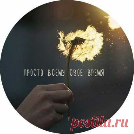 Read Эпилог from the story Замухрышка и Красавчик by Tumbler_girl- (Be kind) with 199,692 reads. любовь, одиночество...