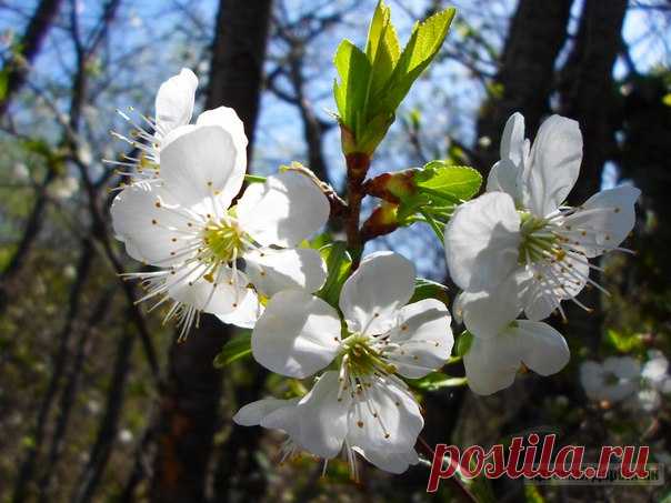 Геленджик. Фото в горах.