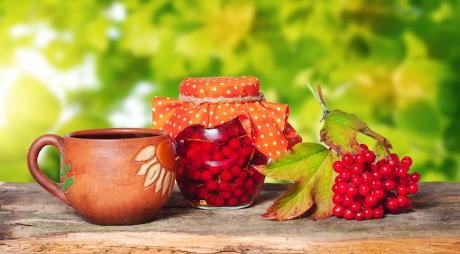 Калина - описание продукта на Gastronom.ru