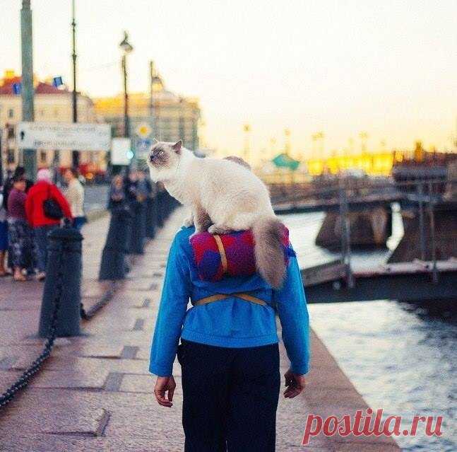 Хочу гулять по Питеру с тобой