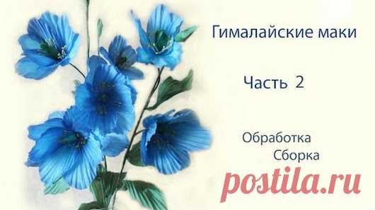 Olga Kanunnikova - Google+