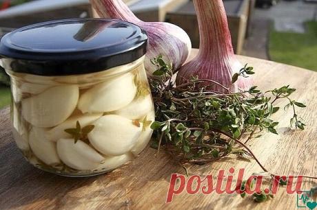 ЧΕСΗОЧΗАЯ ΗАСТОЙΚА ОТ СТА БОЛΕЗΗΕЙ.