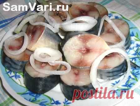Соление селедки и другой рыбы ("сухой" способ). Рецепт с фото. Домашняя засолка рыбы.