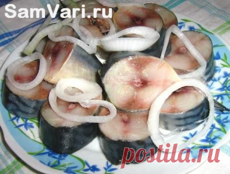 Соление селедки и другой рыбы (&quot;сухой&quot; способ). Рецепт с фото. Домашняя засолка рыбы.