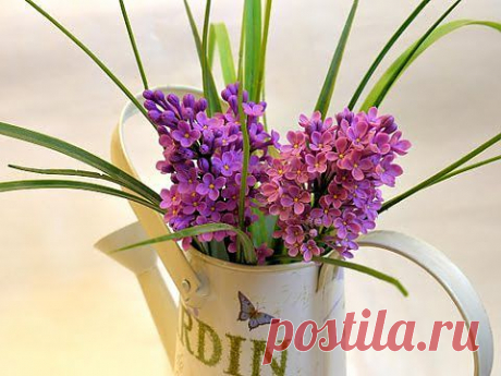 Сирень. Полимерная глина. Мастер-класс - YouTube