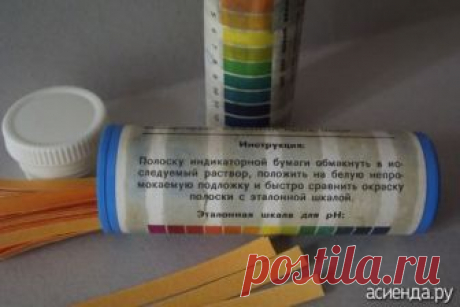 НЕОБЫЧНЫЙ СПОСОБ ОПРЕДЕЛЕНИЯ КИСЛОТНОСТИ ПОЧВЫ: Группа Наши грядки