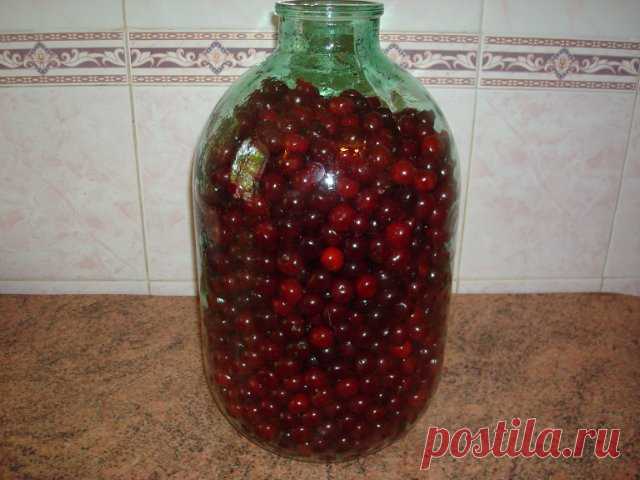 Вишнёвка : Люблю готовить