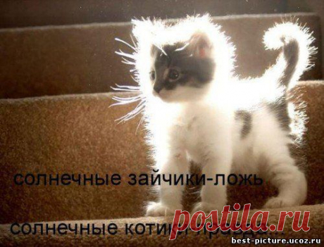 Избранное - 50 фото. Фотографии Галина Калина.