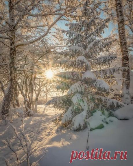 КАКОЙ СЕГОДНЯ ПРАЗДНИК? 16 Января 2020 г. – Четверг • День ледовара • Международный день горячей и острой пищи (International Hot and Spicy Food Day) • День великих сумочных раскопок • Всемирный день «The Beatles» (World Beatles Day)19 лет • День памяти мученика Гордия Каппадокийского и пророка Малахии • День «Цените дракона» (Appreciate a Dragon Day) • День учителя - Таиланд • День героев - Конго • День печенья «Фиг Ньютон» (National Fig Newton Day) - США • День свободы вероисповедания…