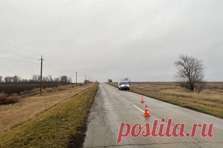 Двух россиян задержали по подозрению в убийстве полицейского. В Ростовской области задержали 50- и 53-летних местных жителей, которых подозревают в убийстве полицейского и незаконном обороте оружия. По версии следствия, трое мужчин из Тацинского района, среди которых был убитый 29-летний участковый, поссорились во время застолья.