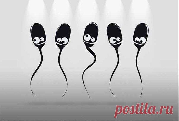 Презерватив - уникальная вещь. Создана й. / Занимательная реклама