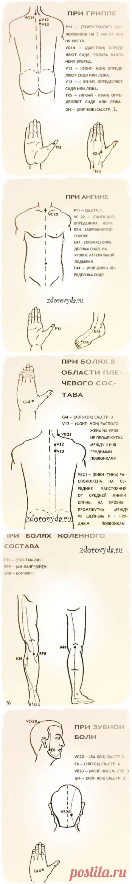 применение бальзама звездочка | Блог  о красоте и здоровье