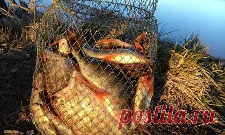 Интересный способ ловли рыбы — на кивок с мормышкой | Блоги о даче и огороде, рецептах, красоте и правильном питании, рыбалке, ремонте и интерьере