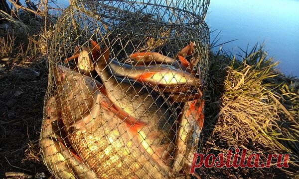 Интересный способ ловли рыбы — на кивок с мормышкой | Блоги о даче и огороде, рецептах, красоте и правильном питании, рыбалке, ремонте и интерьере
