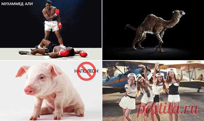 Самые интересные факты о именах, а так же видео | LivePosts — последние новости, полезные статьи, обзоры