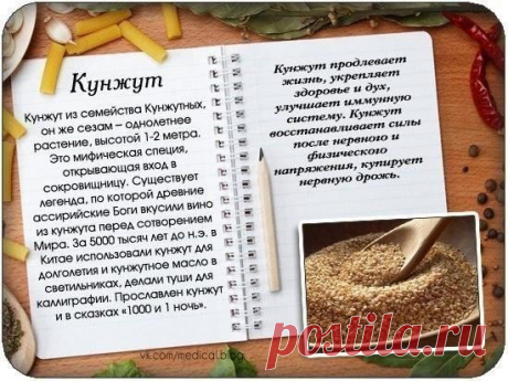 Кунжут