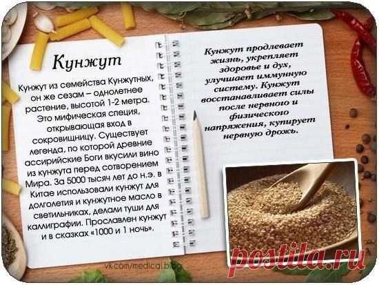 Кунжут
