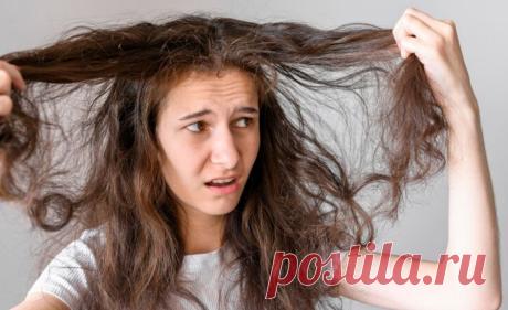 Что станет с волосами, если их не мыть 30 дней? | Красота Здоровье Мотивация