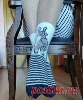 Ручки вяжут и шьют | Вязание и рукоделие Носочки с котиками
Схема в ваши копилочки 👛