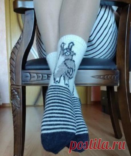 Ручки вяжут и шьют | Вязание и рукоделие Носочки с котиками
Схема в ваши копилочки 👛