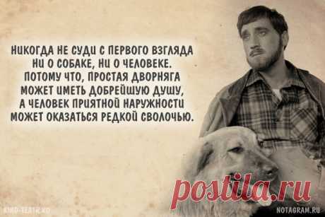Цитаты Высоцкого о жизни, любви и дружбе » Notagram.ru