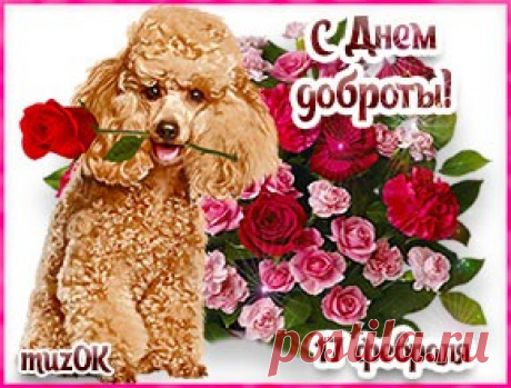 С Днем спонтанного проявления доброты * МУЗыкальный подарОК Поздравление с Днем спонтанного проявления доброты. Красивая музыкальная открытка друзьям и любимым в подарок. 17 февраля.
