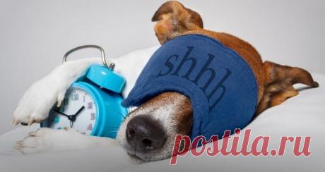 Во сколько нужно ложиться спать, чтобы высыпаться? / Будьте здоровы