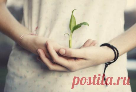 5 принципов Рейки