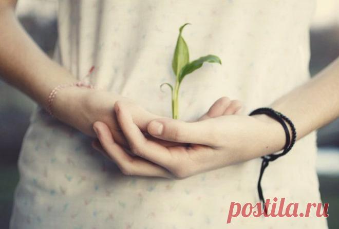 5 принципов Рейки