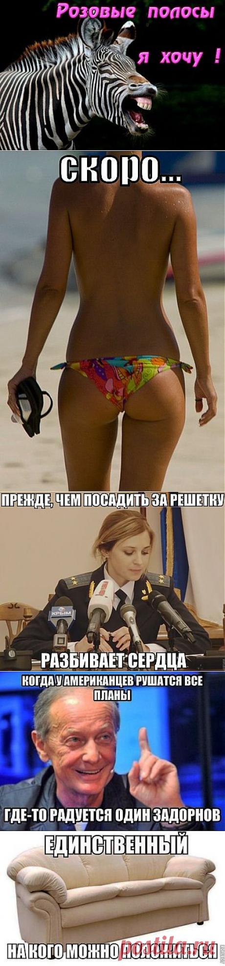 Прикольные картинки на злобу дня))) | ОБОРЖАКА ;)